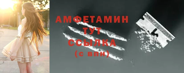 ГАЛЛЮЦИНОГЕННЫЕ ГРИБЫ Осташков