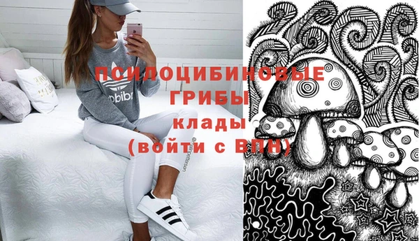 винт Осинники