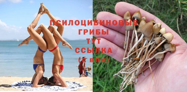ГАЛЛЮЦИНОГЕННЫЕ ГРИБЫ Осташков