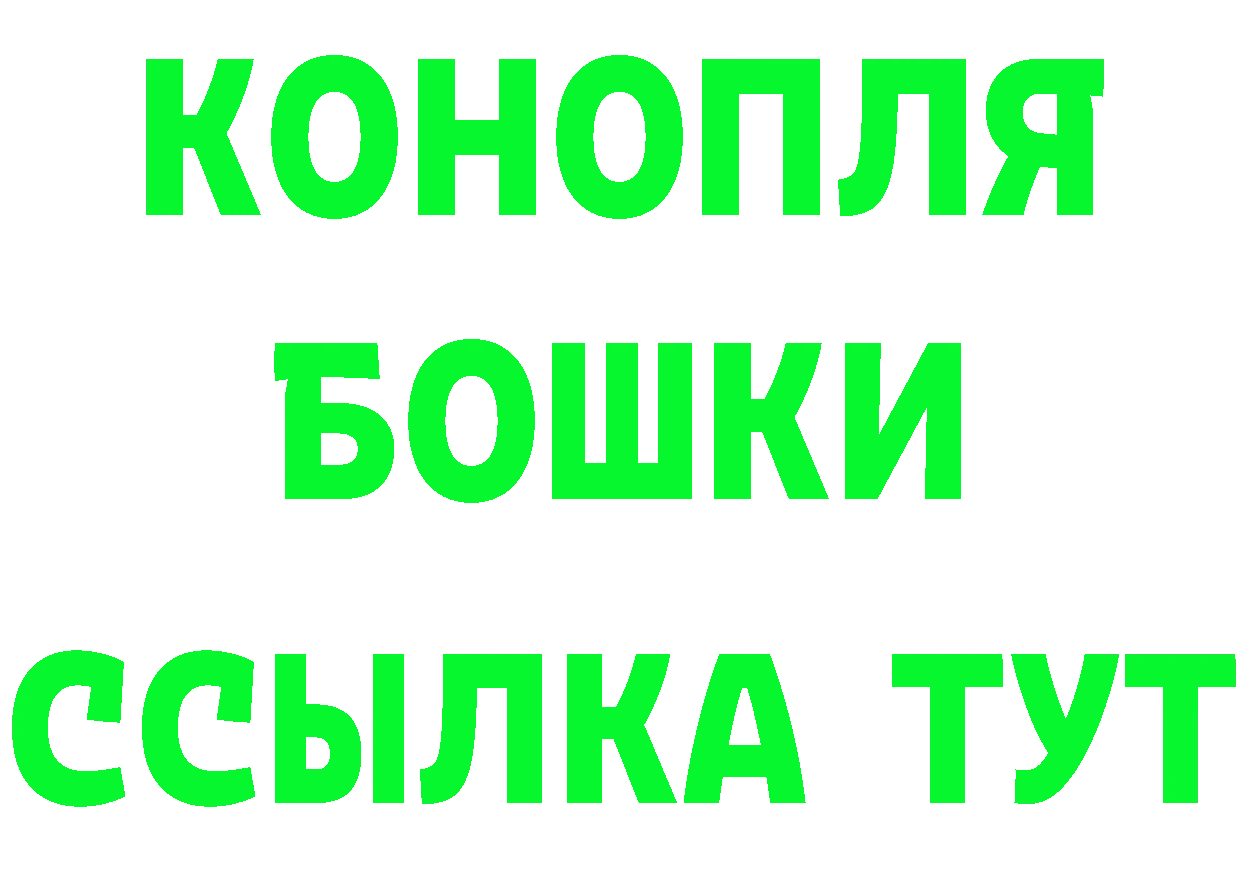 Галлюциногенные грибы Psilocybe tor это kraken Балей