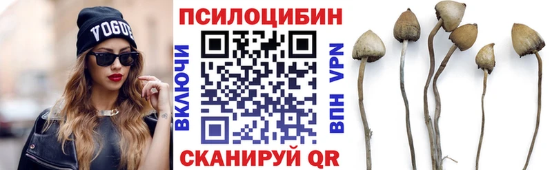 Галлюциногенные грибы Psilocybe  где купить   Балей 